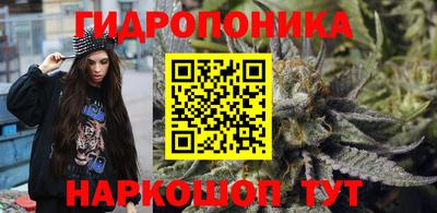 крисы Мариинск