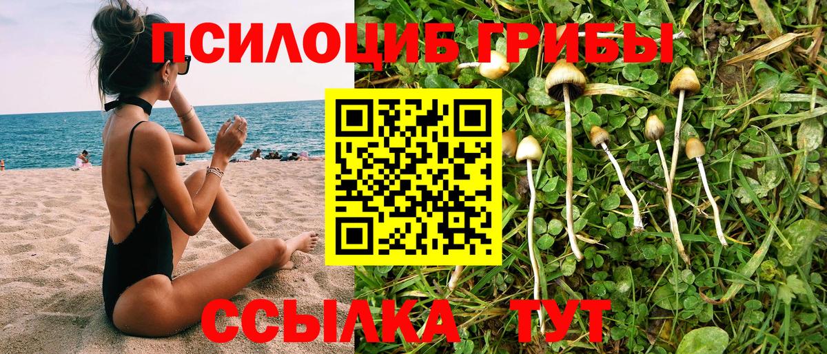 Ртищево  Псилоцибиновые грибы MAGIC MUSHROOMS  Вход с VPN 